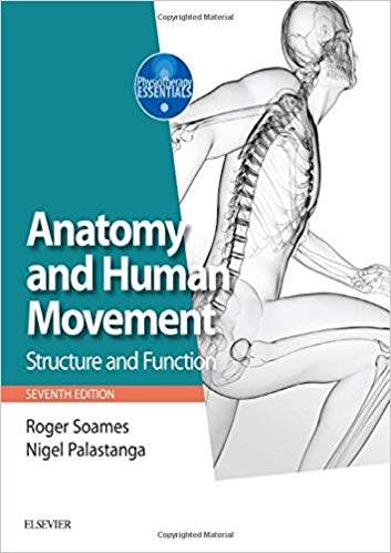 Anatomy and Human Movement: Structure and function (Physiotherapy Essentials) (7th Edition)